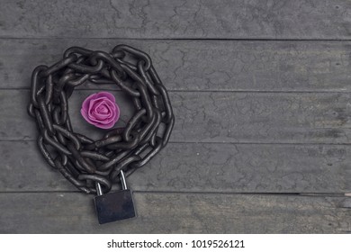 Chained and locked pink rose on the wooden background