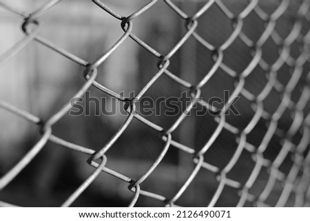 chain-link mesh, lattice fence. mesh fence.