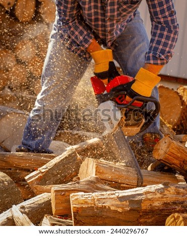 Chainsaw in action cutting wood. Man cutting wood with saw, dust and movements. Chainsaw. Close-up of woodcutter sawing chain saw in motion, sawdust fly to sides.