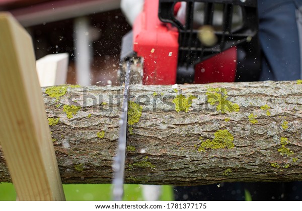 Chainsaw in action cutting wood. Man cutting tree\
trunk into logs with saw. Chainsaw in motion. Close up of\
woodcutter sawing on sawhorse, sawdust fly to sides. Wood work,\
wood cutting tools,\
timber