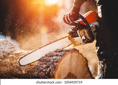 Chainsaw. Close-up of woodcutter sawing chain saw in motion, sawdust fly to sides. Concept is to bring down trees. - Shutterstock ID 1054929719