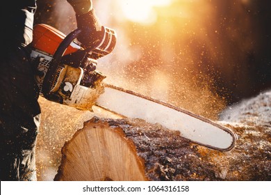 Chainsaw. Close-up of woodcutter sawing chain saw in motion, sawdust fly to sides. - Powered by Shutterstock