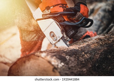 Chainsaw. Close-up of woodcutter sawing chain saw in motion, sawdust fly to sides. Chainsaw in motion. Hard wood working in forest. Sawdust fly around. Firewood processing. - Powered by Shutterstock