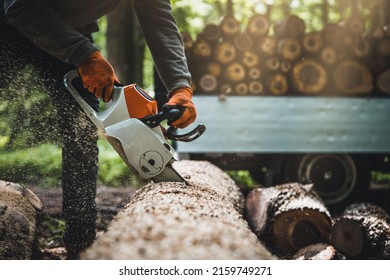Chainsaw. Close-up of woodcutter sawing chain saw in motion, sawdust fly to sides. Chainsaw in motion. Hard wood working in forest. Sawdust fly around. Firewood processing.