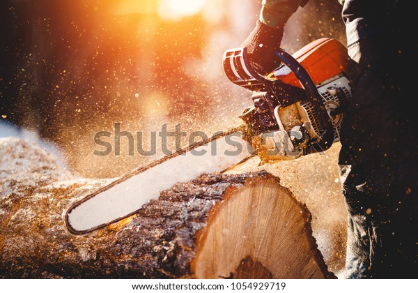 Chainsaw. Close-up\
of woodcutter sawing chain saw in motion, sawdust fly to sides.\
Concept is to bring down\
trees.