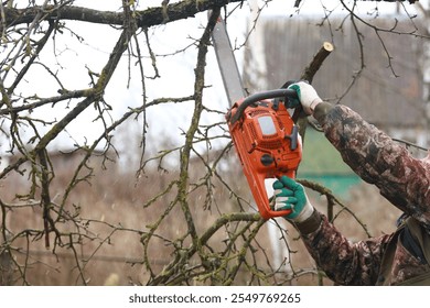 árbol de corte de motosierra. Hombre cortando ramas viejas