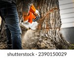 A chainsaw effortlessly slices into a tree trunk, showcasing expert tree service in action. Perfect for illustrating tree removal, Tree Trimming cutting branches stump grinding stump removal