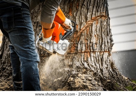 A chainsaw effortlessly slices into a tree trunk, showcasing expert tree service in action. Perfect for illustrating tree removal, Tree Trimming cutting branches stump grinding stump removal