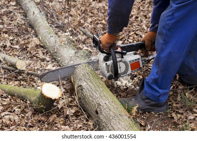 Chainsaw Hand Lumberjack Stock Photo 436001554 | Shutterstock