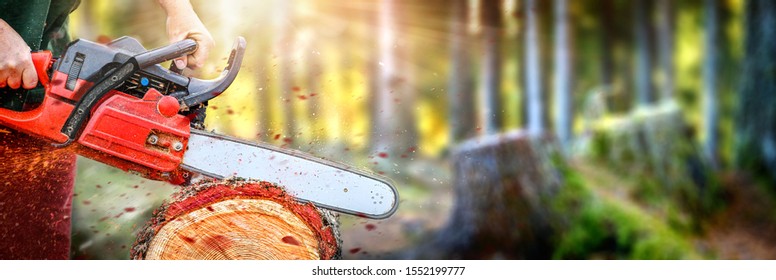 Chainsaw in motion wide banner or panorama photo. Woodcutter man clean chain saw after work. Hard wood working in forest. Sawdust fly around.