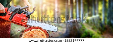 Chainsaw in motion wide banner or panorama photo. Woodcutter man clean chain saw after work. Hard wood working in forest. Sawdust fly around.