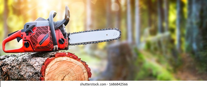 Chainsaw on wooden stump or firewood. Cut tree machine wide banner, or copy space for text.