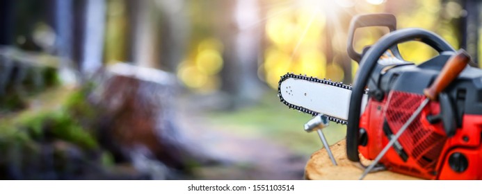 Chainsaw On Wooden Trunk Wide Banner Or Panorama Photo. Woodcutter Man Clean Chain Saw After Work. Hard Wood Working In Forest.