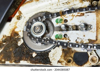 Chainsaw Repair, Close-up. Dirty Chainsaw With Sawdust 