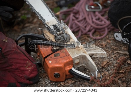 chainsaw for tree cut or tree pruning as part of tree care