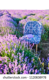 chair with a book in a lavender field