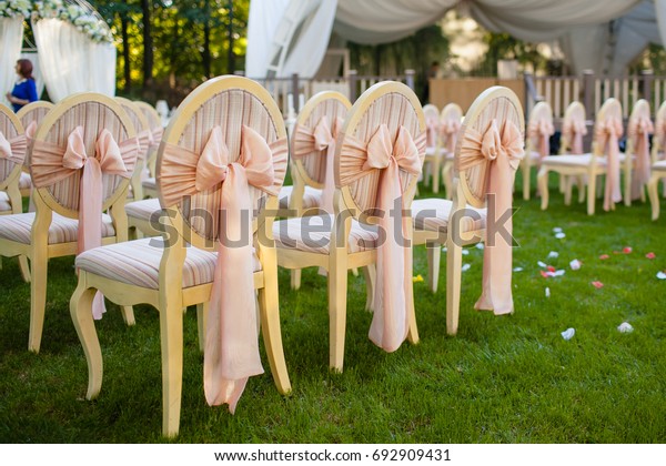 Chairs Bows On Wedding Ceremony Royalty Free Stock Image