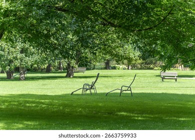 Chairs under Trees. Two empty metal chairs stand in the shade of a large tree on a well-kept meadow. The scene appears tranquil and invites you to linger.