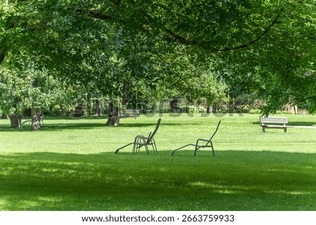 Chairs under Trees. Two empty metal chairs stand in the shade of a large tree on a well-kept meadow. The scene appears tranquil and invites you to linger.