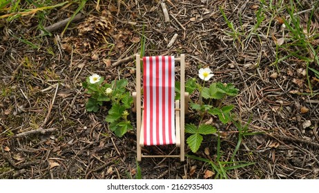 Chaise Lounge Chair With Red Stripes For Relaxing.