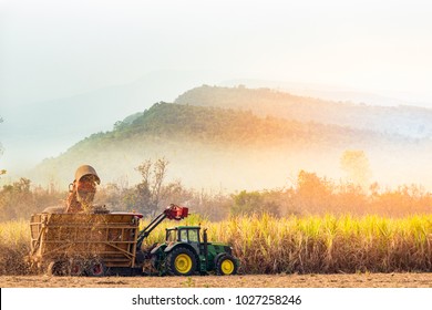 Chaiyaphum, Thailand- February 16: sugarcane harvester working in farm 16 February Chaiyaphum Thailand 