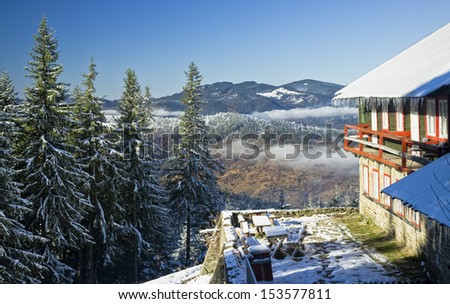 Similar – Seasonal canopy Nature Sky