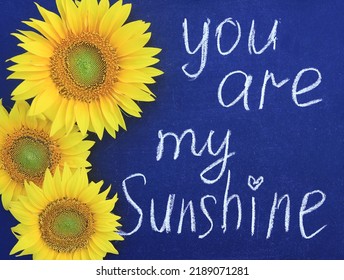 chalk lettering You are my sunshine black chalkboard and bright yellow sunflower flowers  concept love  significance  