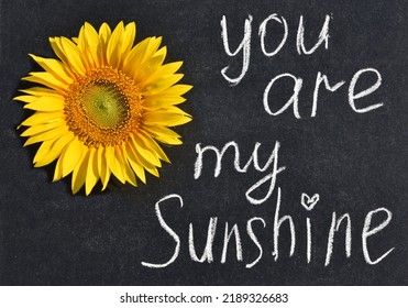 chalk lettering You are my sunshine black chalkboard and bright yellow sunflower flowers  concept love  significance  