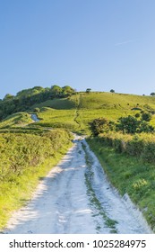 A Chalk Pathway In The South Downs National Park In Sussex