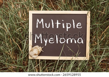 Chalkboard sign features the term Multiple Myeloma, placed on a grassy surface with natural elements, creating a serene and educational atmosphere for health awareness and information sharing
