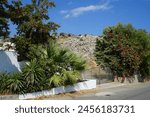 Chamaerops humilis palms, Bougainvillea bushes and other plants grow in August in Pefki. Pefkos or Pefki is a well-known beach resort located on the eastern coast of Rhodes Island, Greece
