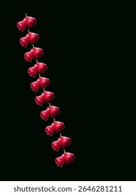 Chambakka, also known as rose apple or Java apple, is a fruit native to Southeast Asia, commonly found in regions like Kerala and Bangalore. It is known for its crispy, mildly sour, and slightly sweet