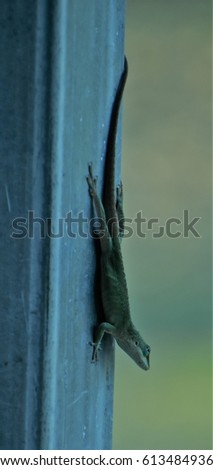 Similar – Image, Stock Photo key to my heart Wood Metal