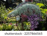A Chameleon at the Mosaiculture of Quebec City 2022