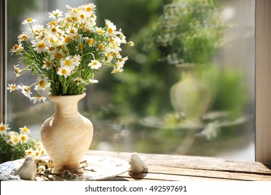 Chamomile Bouquet On Windowsill