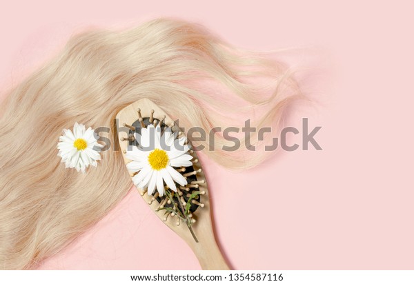 Chamomile Cosmetics Healthy Hair Comb Curls Stock Photo Edit Now