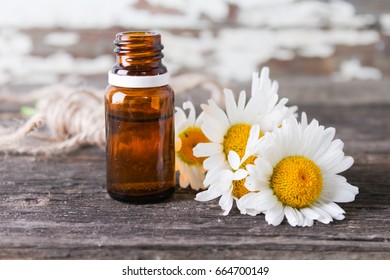 Chamomile Essential Oil