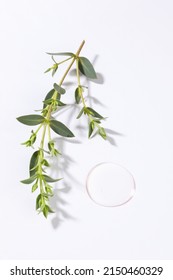 Chamomile Extract In A Small Bottle On Sacking. Selective Focus. Nature