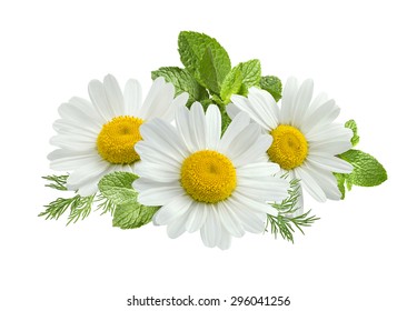 La flor de manzanilla deja la composición aislada en el fondo blanco como elemento de diseño del paquete