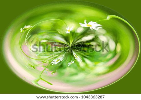 Similar – Image, Stock Photo unfold Aquatic plant