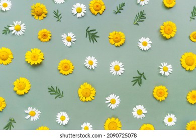 Chamomile flowers on green background. Floral pattern. Flat layer, top view. - Shutterstock ID 2090725078