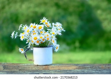 chamomile flowers in white cup on table in garden, natural blurred green background. rustic floral composition. summer season. relaxation, harmony atmosphere - Shutterstock ID 2170368213
