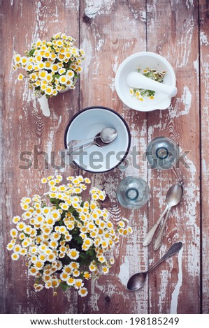 Similar – Fresh chamomile flowers in teapot on blue background