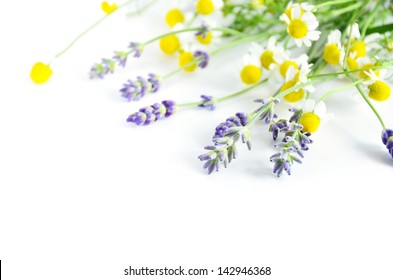 Chamomile And Lavender On White Background