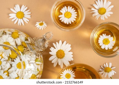 Chamomile Tea. Cups Of Herbal Tea, Transparent Teapot With Camomile Flowers On Brown Background. Calming Drink Concept. Trendy Still Life.