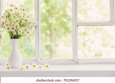 Chamomile In Vase On Windowsill