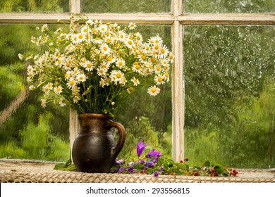 Chamomiles On The Window Sill In A Sunny Rainy Day