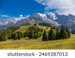 Chamonix Montblanc beautiful alpine mountain summits landscape. Alps mountains with snow and glacier above green valley of Chamonix in France. Alps beautiful scenery in summer