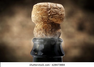 Champagne Cork 