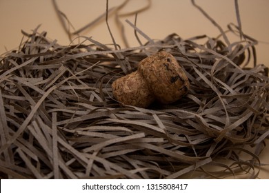 champagne cork, wood cork, brown color, cut brawn paper, light backgrond - Powered by Shutterstock